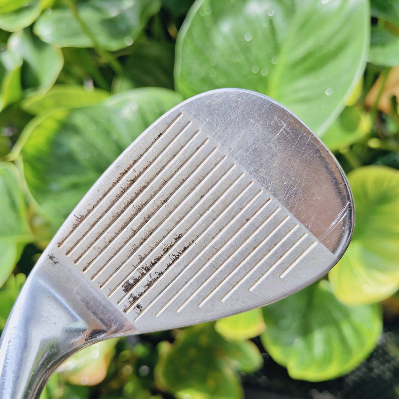 Cleveland REG.588 WEDGE องศา 53° | รุ่น DIADIC เวดจ์ระดับตำนาน ที่ยังคงเป็นขวัญใจนักกอล์ฟทั่วโลก