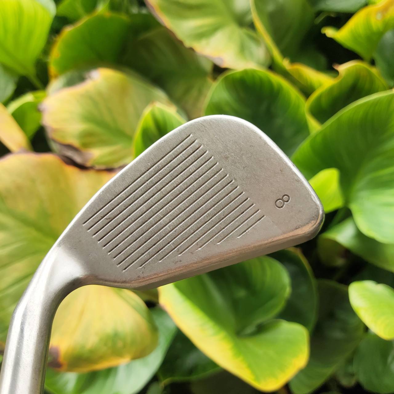 ชุดเหล็ก PING ZING | ก้าน TX90 R ได้รับความนิยมอย่างต่อเนื่องจากฟีลลิ่งเฉพาะตัวที่เหนือชั้น