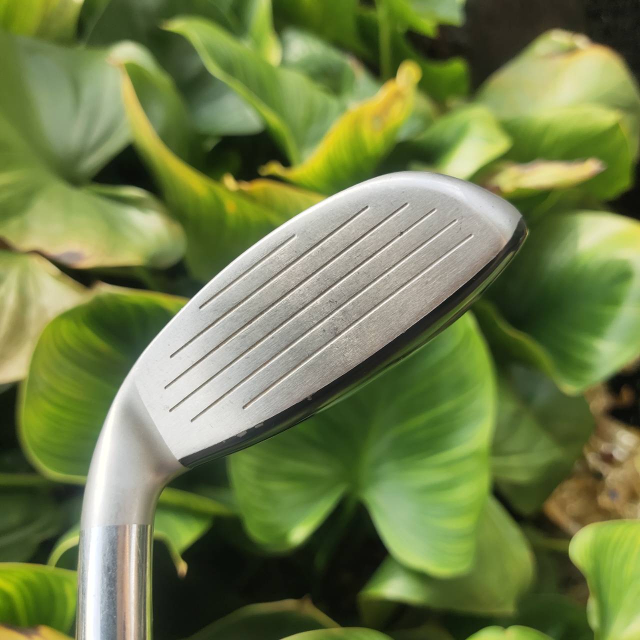 U3 Callaway LEGACY | 21° | พรีเมี่ยมจาก Callaway Japan หน้าไม้บาง COR สูง ลูกพุ่งเร็ว ตีง่าย ตรง