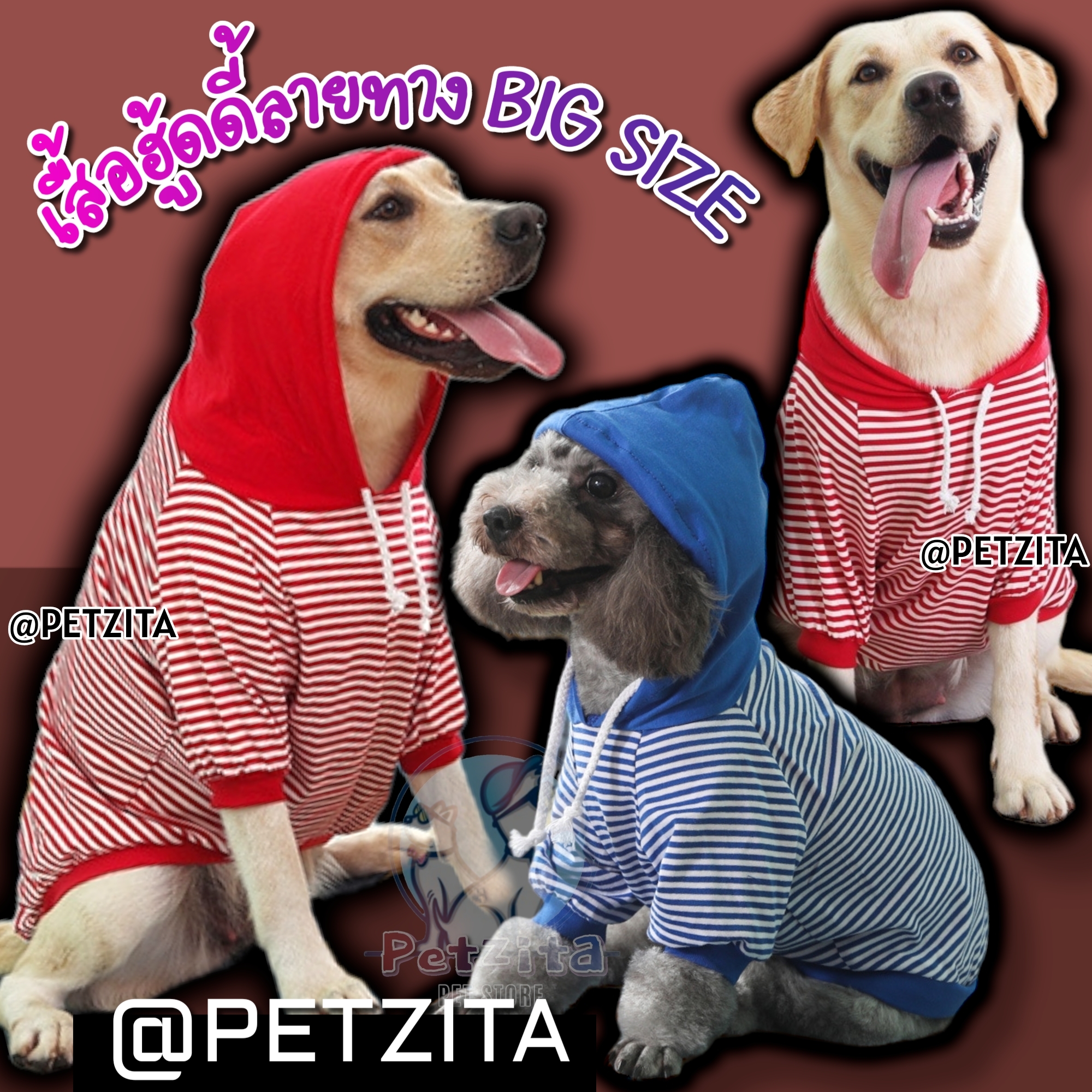 🇹🇭พร้อมส่ง🇹🇭 🐶🐕BIGSIZE เสื้อฮู้ดดี้ลายทาง สีสดใส แต่งลายภาษาจีน น่ารัก สำหรับ สุนัขพันธุ์กลาง ถึง หมาใหญ่