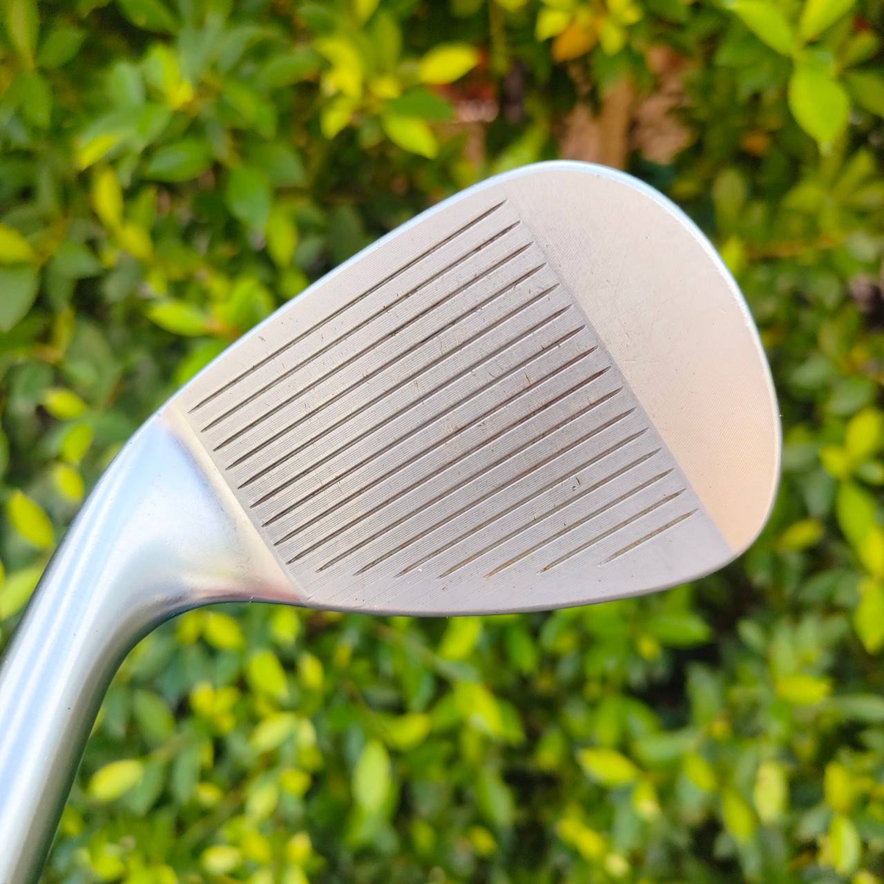 WEDGE TITLELIST SM6 BV F GRIND VOKEY DESIGN องศา 50 เบาท์ 12 ก้าน SM6 VOKEY DESIGN FLEX WEDGE ไม้กอล์ฟมือสอง ของแท้ BY NakaraLuxurious