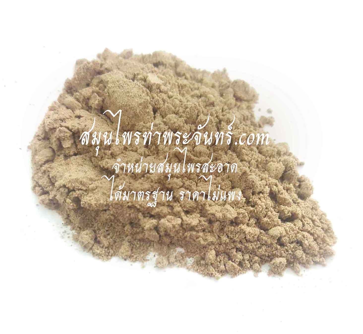 บอระเพ็ดผง ( 500กรัม - 1กิโล ) / ( 500g - 1kg ) สมุนไพรท่าพระจันทร์
