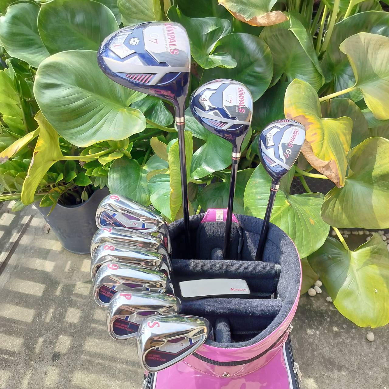 SET KASCO DIMPALS G7 LADY สภาพสวยนางฟ้า ชุดกอล์ฟพรีเมี่ยมญี่ปุ่น ก้านเบา ถุงกอล์ฟสวยมาก ไม้กอล์ฟพรีเมี่ยมมือสอง By NakaraLuxurious