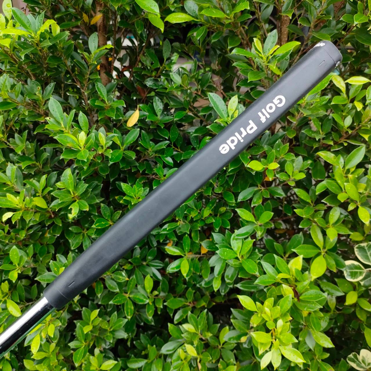 PUTTER TAYLORMADE ROSSA DA-12 GHOST TOUR ความยาว 34 นิ้ว ตัวนี้ราคาแพงมาก