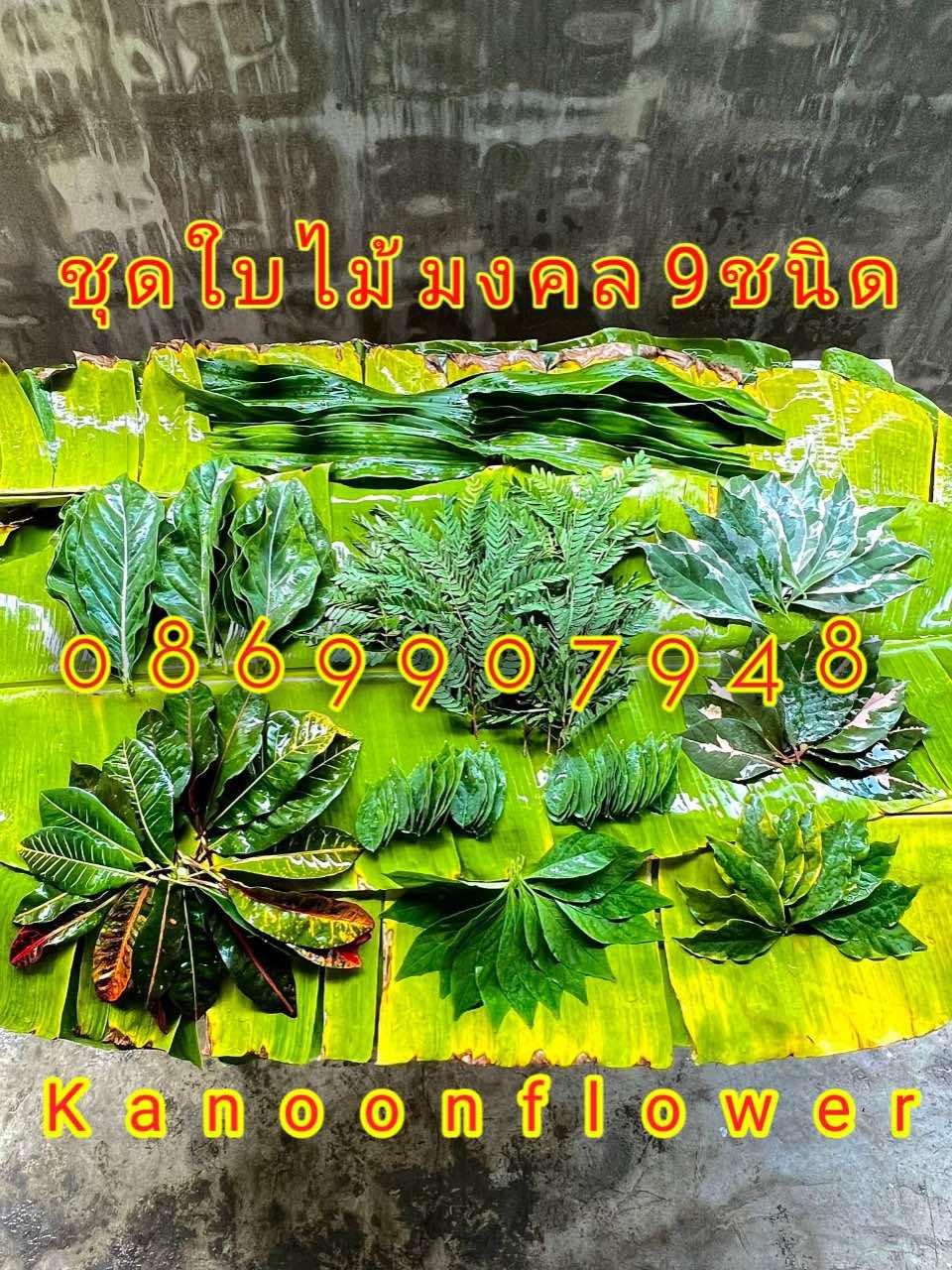 ใบไม้มงคลพิธี9อย่าง