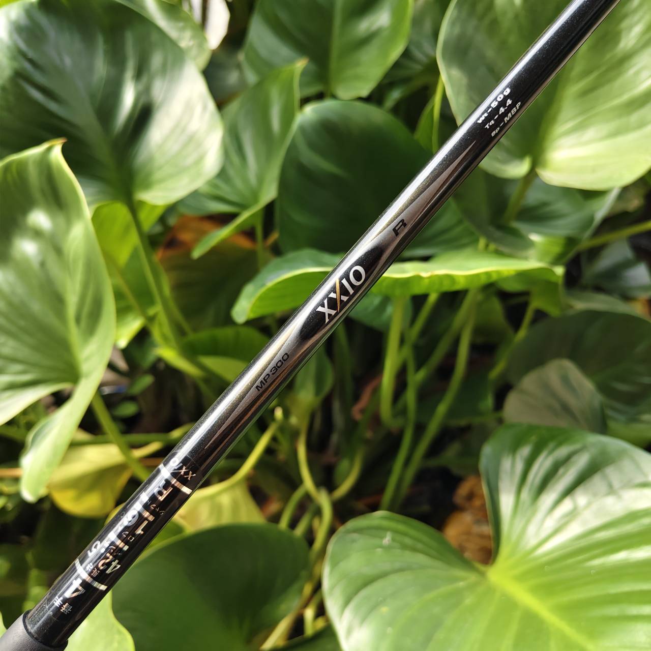 4W XXIO IMPACT POWER BODY “ตีง่าย–ยกง่าย–ระยะดี” จากซีรีส์ยอดนิยมของ XXIO