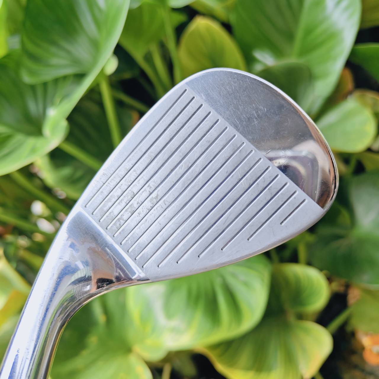 WEDGE CG12 ZIP GROOVE องศา 50° | BOUNCE 10 – ร่องสี่เหลี่ยมเหมือนซิป เพิ่มสปิน