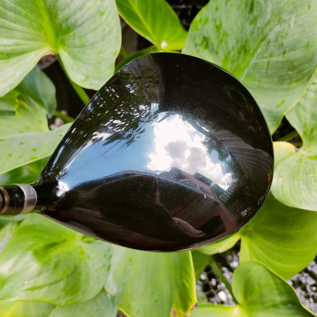 Driver RYOMA MAXIMA รุ่นพิเศษ SPECIAL TUNNING หน้าเด้งมากๆ ตีไกลสุดขั้ว!!! องศา 9.5 ก้าน TOUR AD M2-V 55R ไม้กอล์ฟพรีเมี่ยมมือสอง ของแท้ By NakaraLuxurious