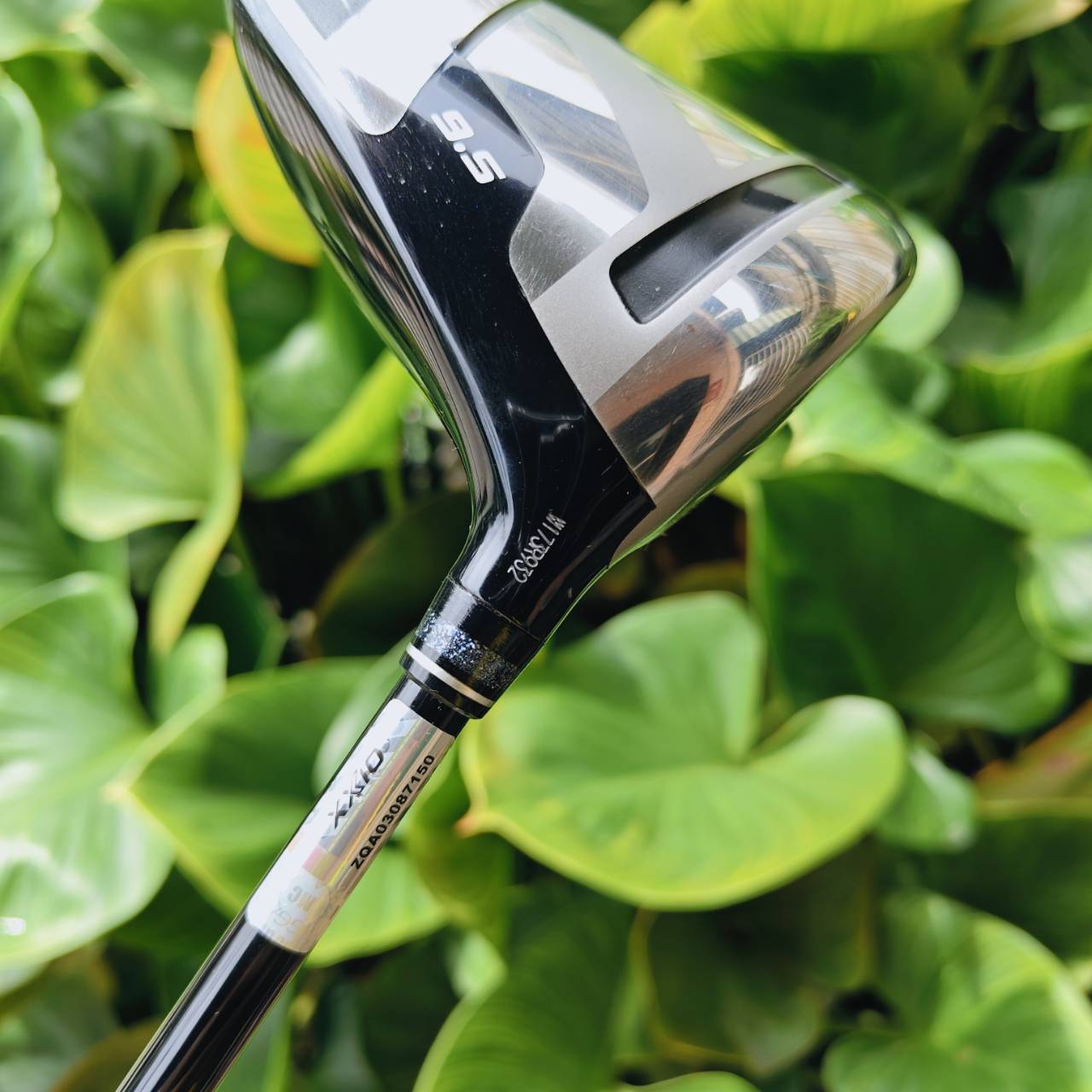 XXIO ELEVEN Driver (ก้าน MP1100K Flex S) Titanium Face (Super-TIX® 51AF) → บาง ให้แรงดีดสูงมาก