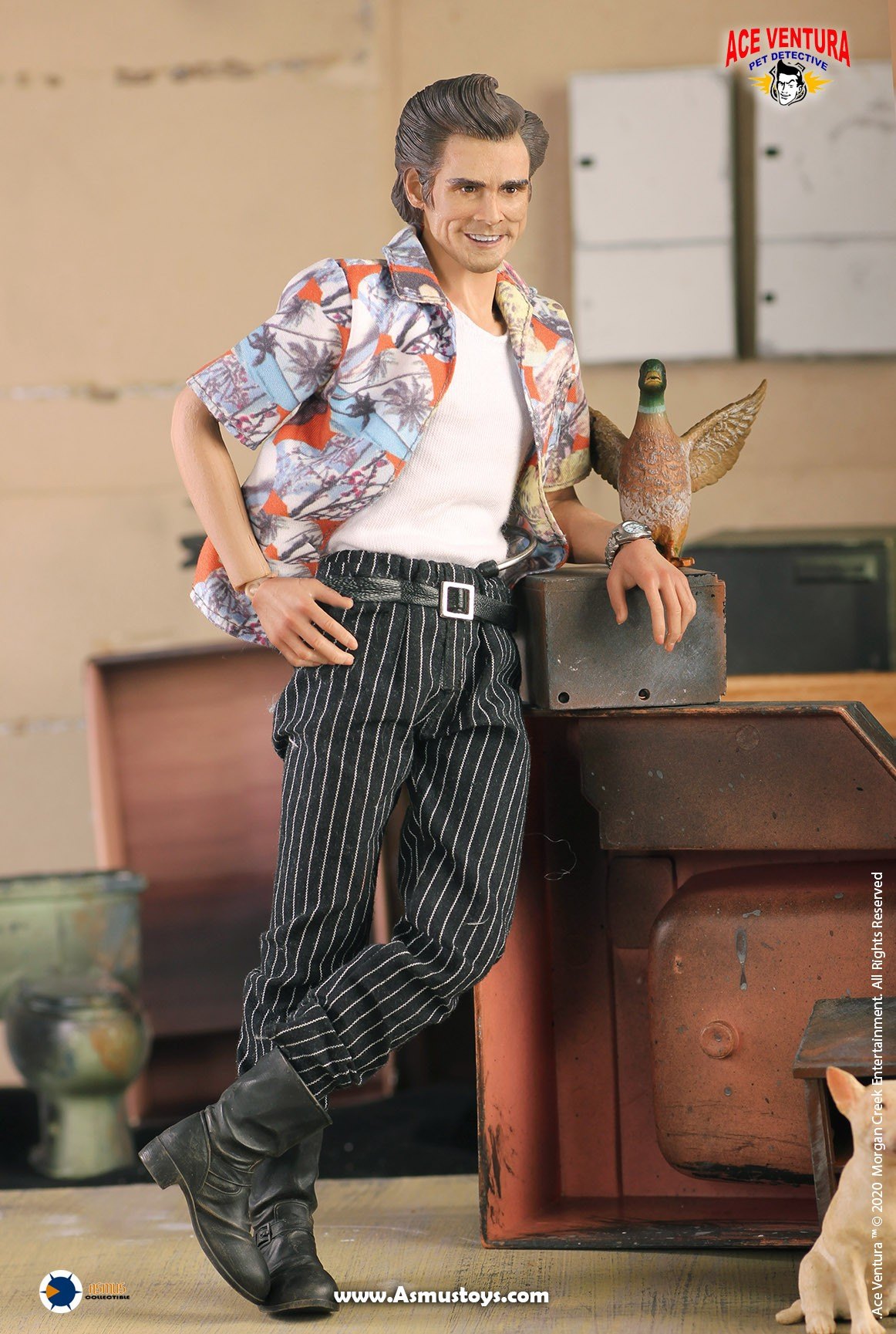 [สั่งจอง]Asmus Toys ACE01 1/6 : Pet Detective series: Ace Ventura