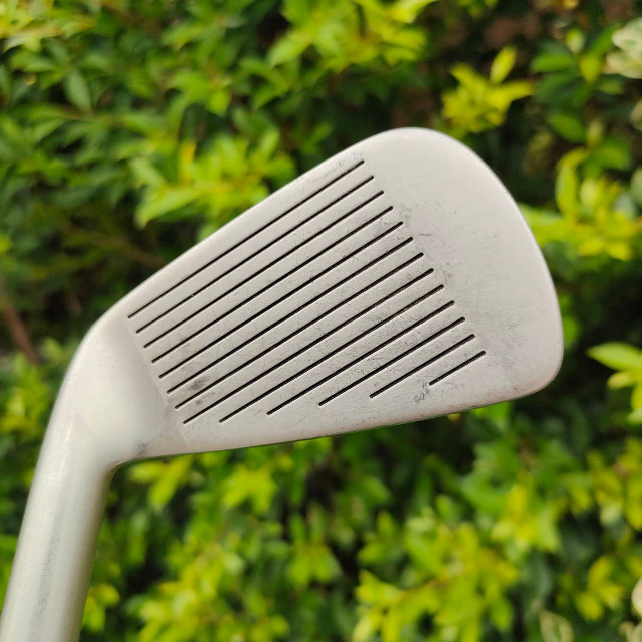 ชุดเหล็ก KING COBRA C-J SPECIAL 001 OVERSIZE มีเหล็ก 3,4,5,6,7,8,9,10 ก้าน KING COBRA FLEX R สภาพสวยเดิมเหล็กครบ COBRA เป็นแบรนด์ที่ตั้งใจผลิต ให้ออกมาตีง่ายมากๆและรุ่นนี้ ใบใหญ่ OVERSIZE ทำให้ตีโดนง่ายมาก ตีสบายๆระยะดี ทิศทางดี สปินดีครับ ราคาก็คุ้มแสนคุ