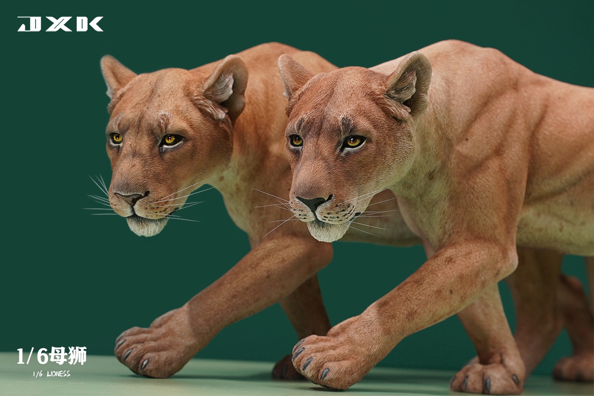 [สั่งจอง] JXK JXK154 1/6 : Lioness