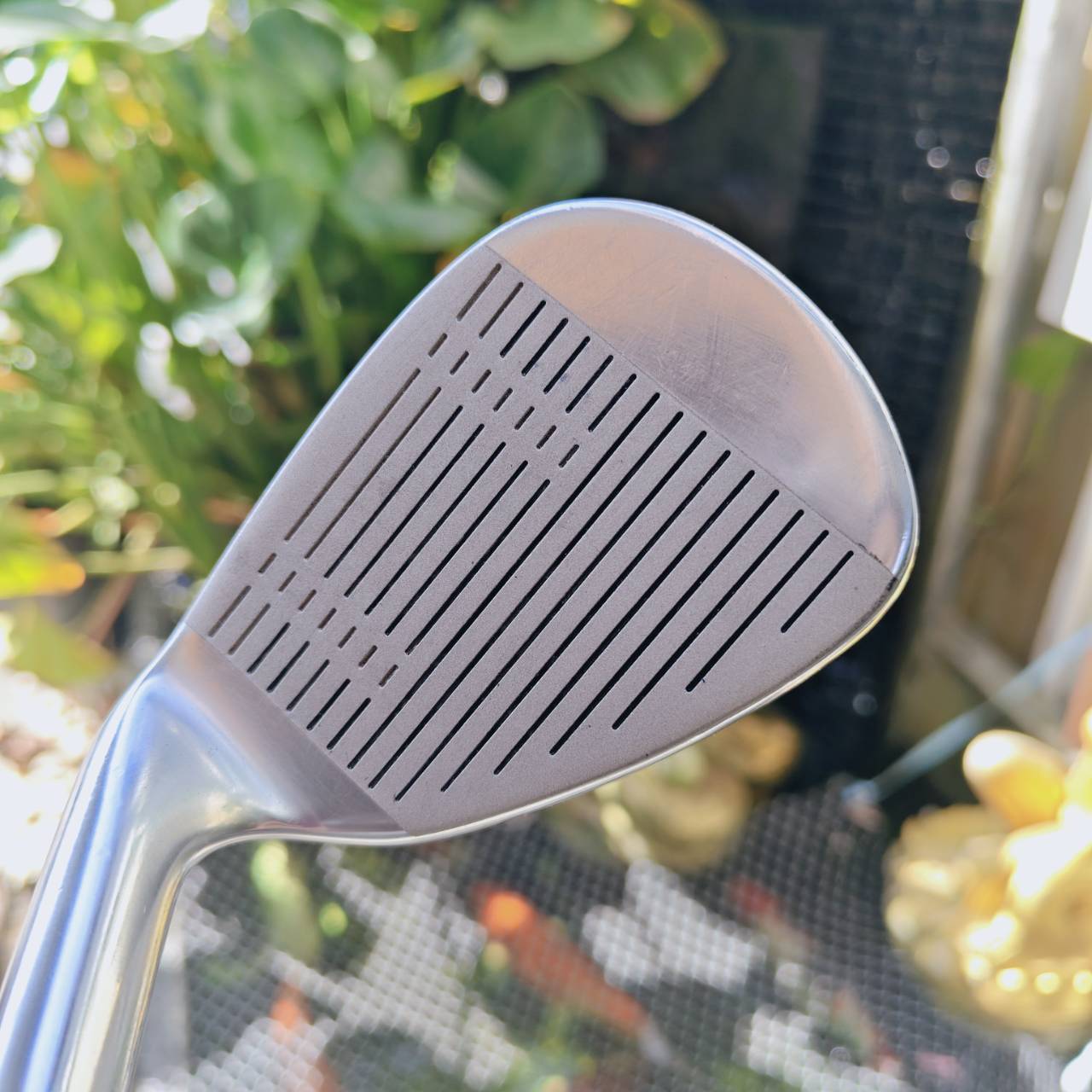 ชุดเหล็กสำหรับผู้หญิง WINFIELD POWER EDGE L.C.G. • FLEX LADY ตีง่าย ระยะดี!💖