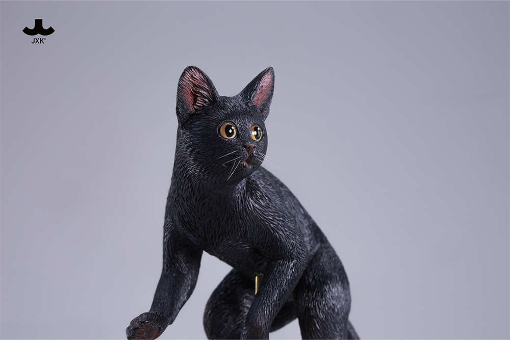 [สั่งจอง]JXK --- Kung Fu Cat ---