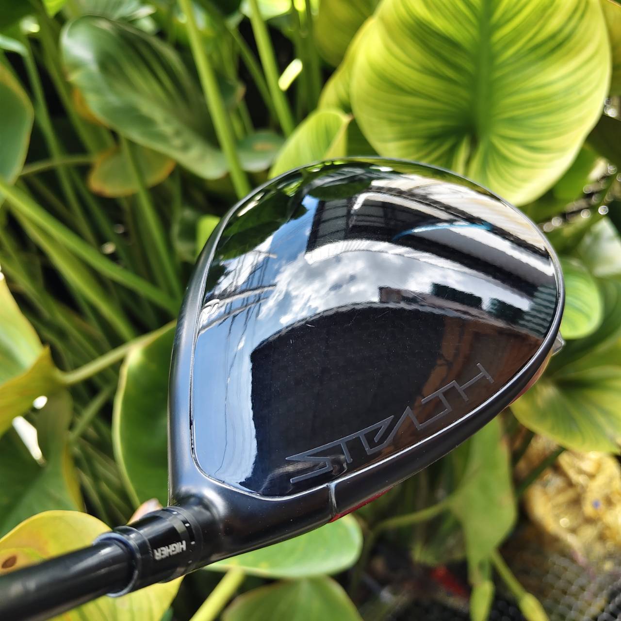 TAYLORMADE STEALTH 2 PLUS+ จุดเปลี่ยนของยุค Carbonwood™ ทั้ง Far และ Forgiveness ในหัวเดียว!