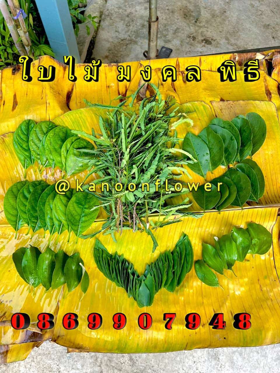 ใบไม้มงคล (พิธี)