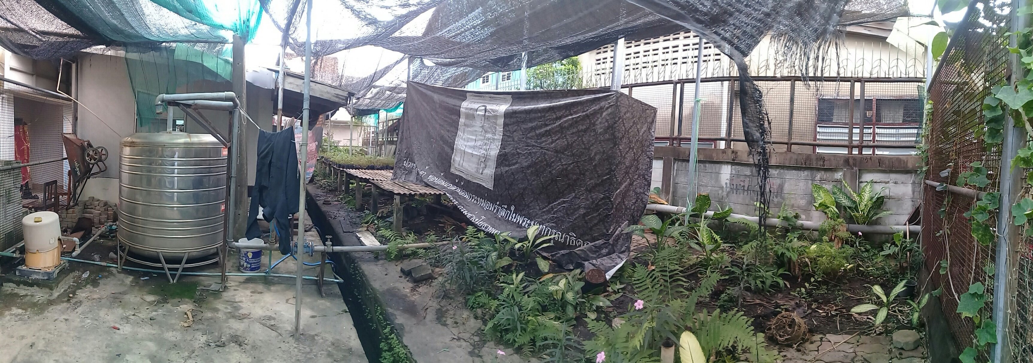 งานเรือนเพาะชำ กองทัพเรือ