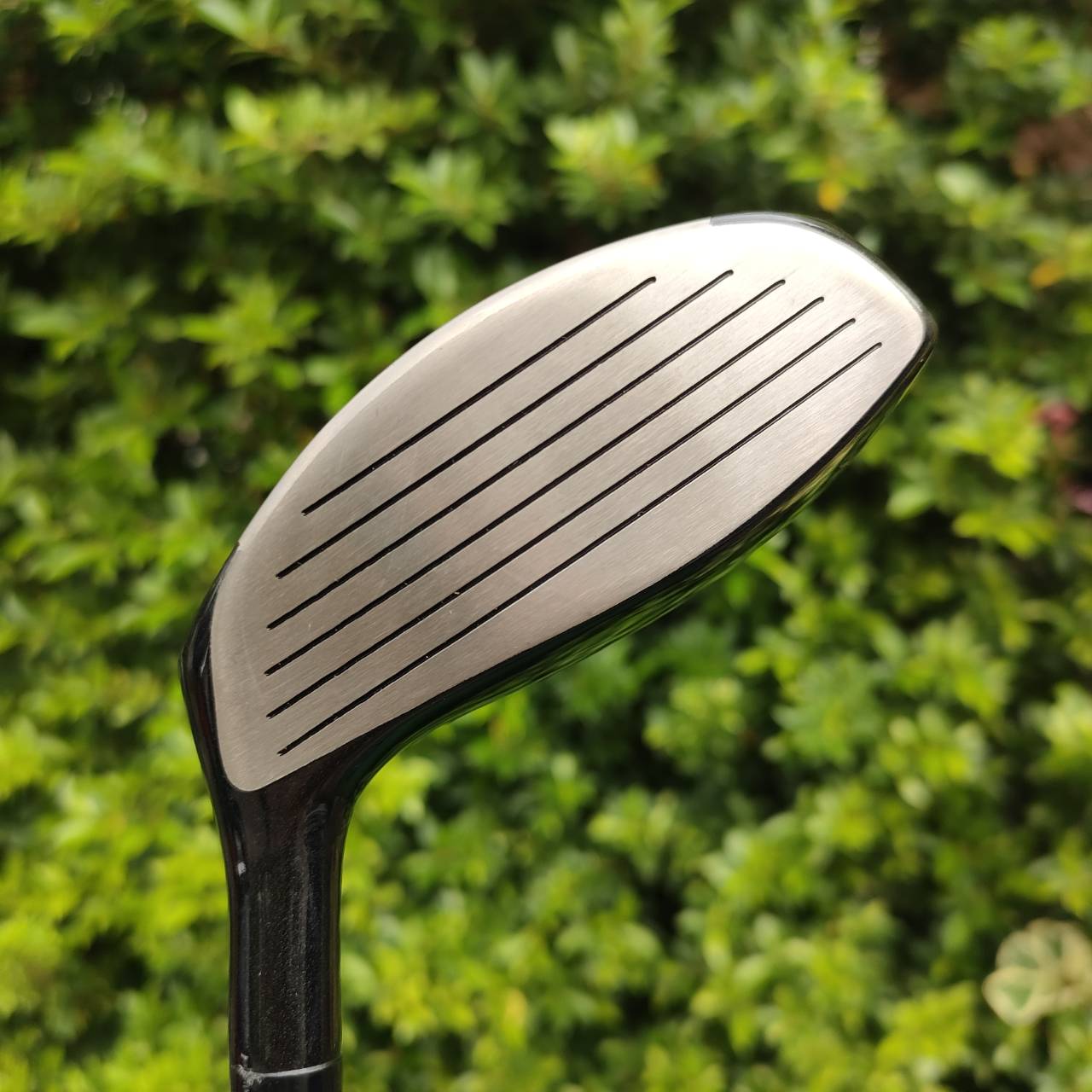 FW5 WINFIELD TI PLOSION องศา 21 ก้าน WINFIELD FLEX S ของใหม่ ล้างสต๊อค ซีนหลุด!!! คุณภาพสุดพรีเมี่ยม ตีไกลมาก ก้านก็ดีมากๆ กราไฟต์ 100% ไม้กอล์ฟมือหนึ่ง ของแท้ BY NakaraLuxurious