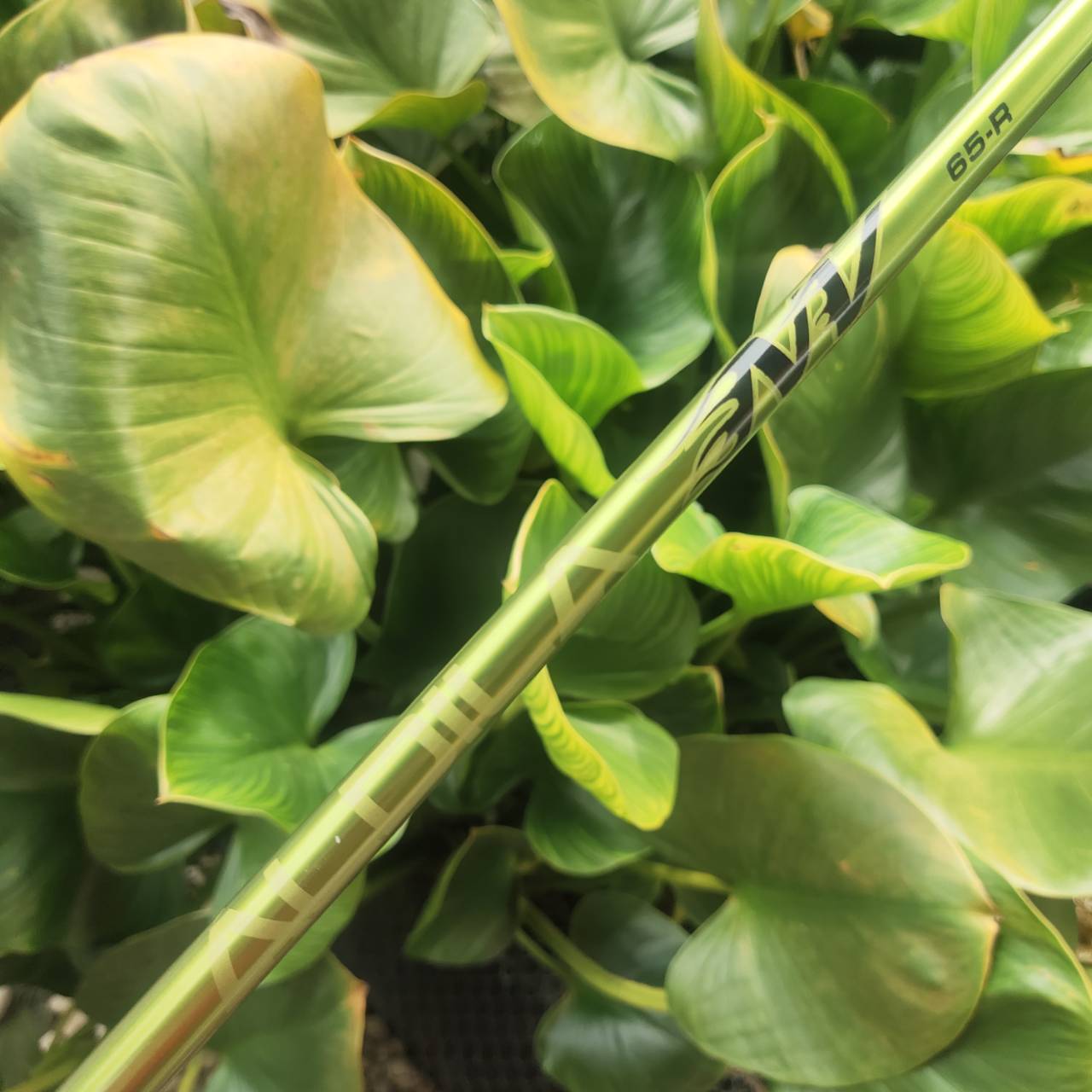 Driver Titleist 983K สำหรับคนชอบตีแฟร์เวย์แม่นๆ หัว Titanium หน้าเด้ง เสียงแน่น ฟีลจัดเต็ม