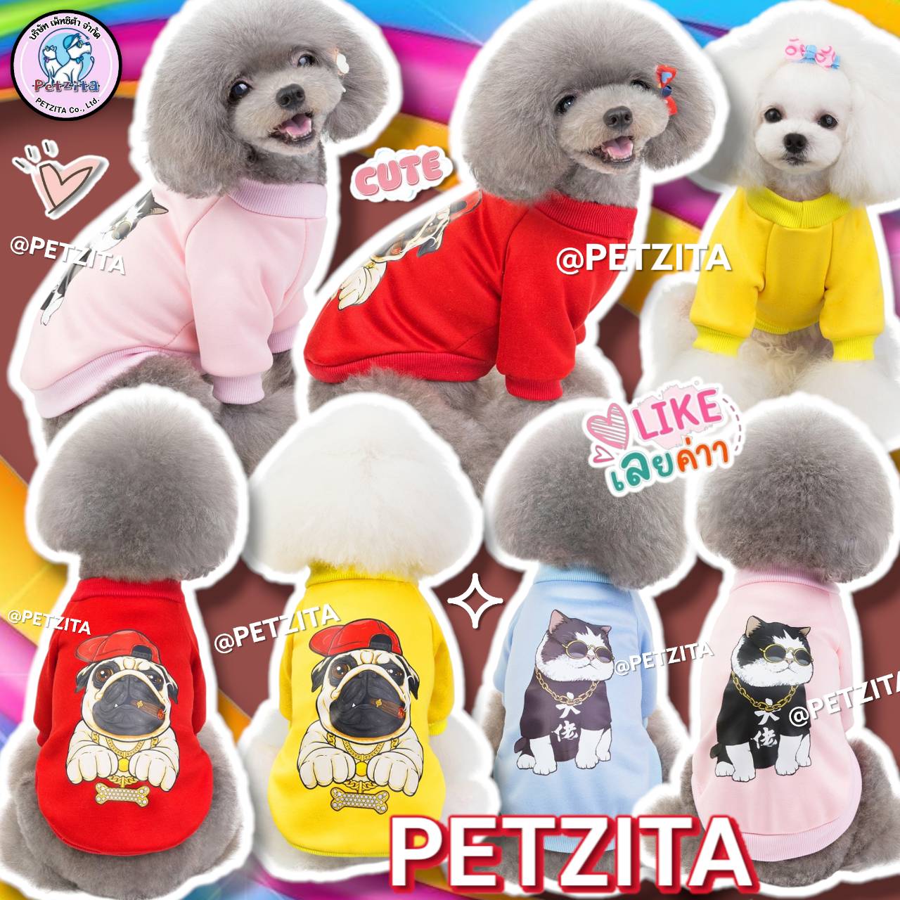 🇹🇭พร้อมส่ง🇹🇭 SALE 🐶🐱เสื้อผ้านิ่ม ลายหมาแมวสุดเท่ห์ for pet เสื้อสุนัข หมา แมว สัตว์เลี้ยง