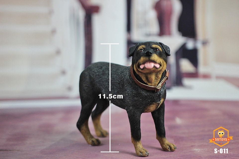 [สั่งจอง]SGTOYS S-010,S-011,S-012 1/6 Animal Model Chihuahua/ Rottweiler/ Springer Spaniel/Shiba Inu