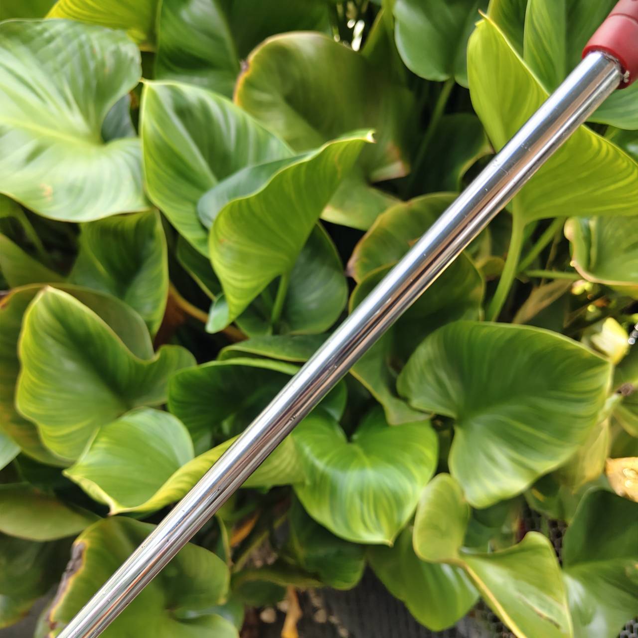 Odyssey White Hot XG #9 Putter ได้รับแรงบันดาลใจจาก Phil Mickelson