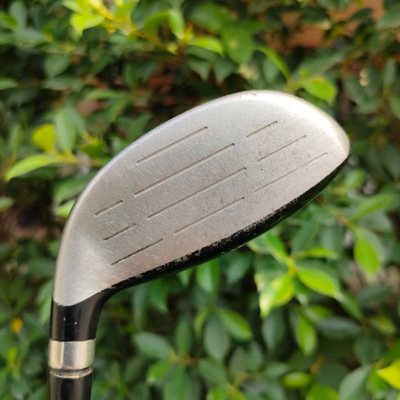 FW5 KING COBRA SPEED LD OFFSET M/ST ก้าน ALDILA NVS FLEX R ทรงช่วยให้ลูกลอยง่าย เสียงกิ๊งแน่นๆ ก้านดีมากๆครับผม