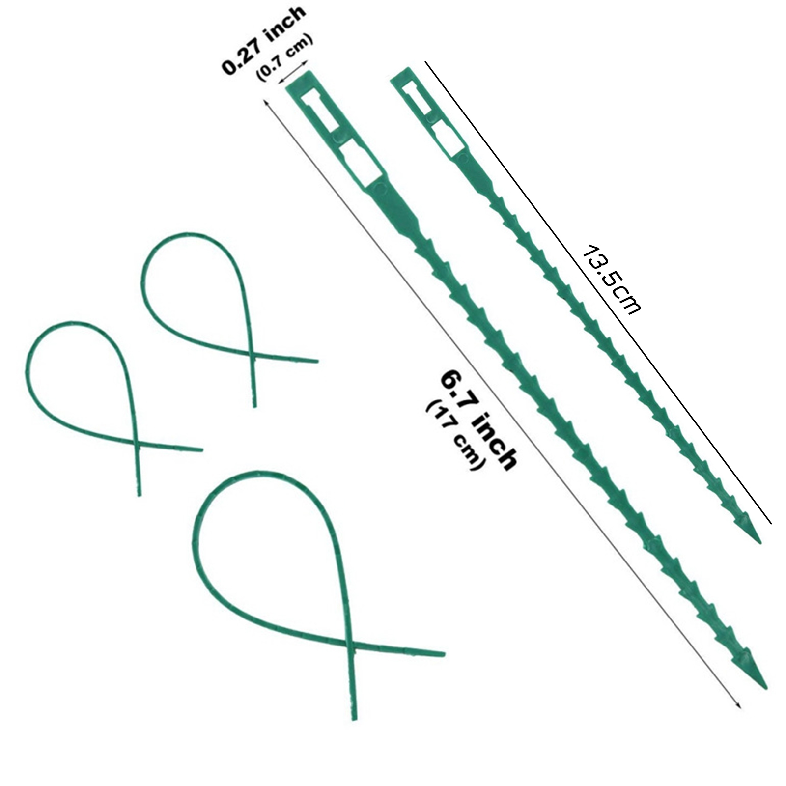 เข็มขัดรัดกิ่ง แพ็ค50ชิ้น มี2ขนาด 13.5cm และ 17cm พลาสติกคุณภาพดี เหนียว แข็งแรง