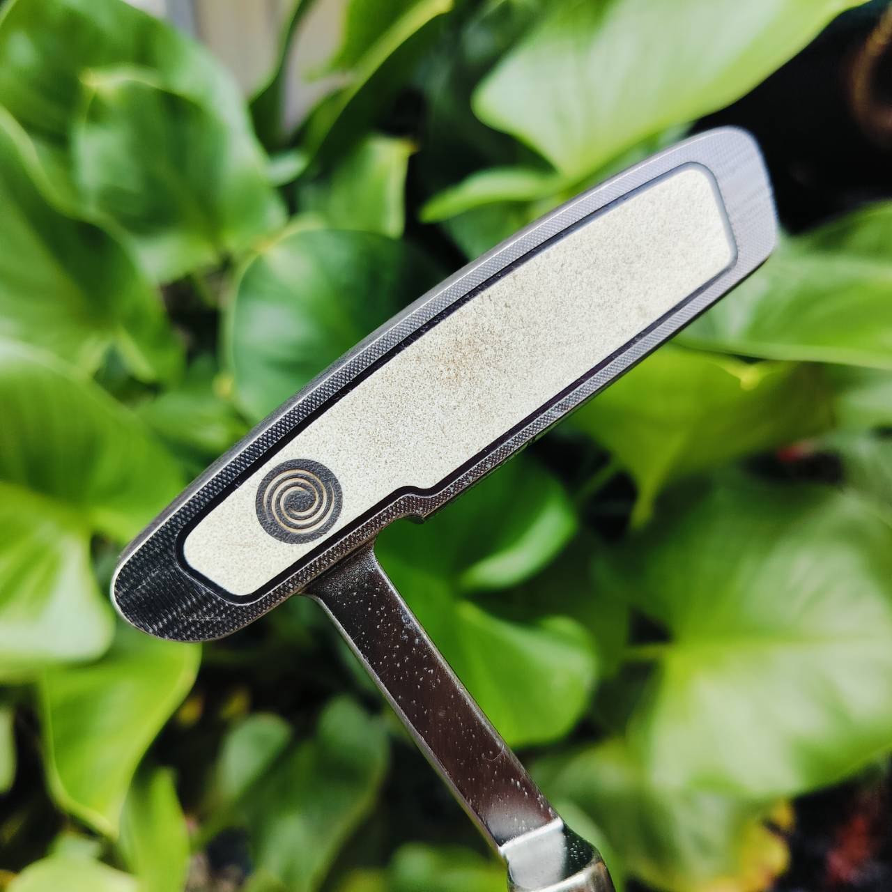 PUTTER ODYSSEY WHITE ICE วางน้ำหนักไว้ทั้งด้าน TOE และ HEEL ทำให้พัตต์แบบบล๊านซ์มากๆ หน้าสัมผัสที่เป็นเอกลักษณ์ ทั้งนุ่มนวลและเกาะไลน์มาก ไม้กอล์ฟพรีเมี่ยมมือสอง ของแท้ By NakaraLuxurious