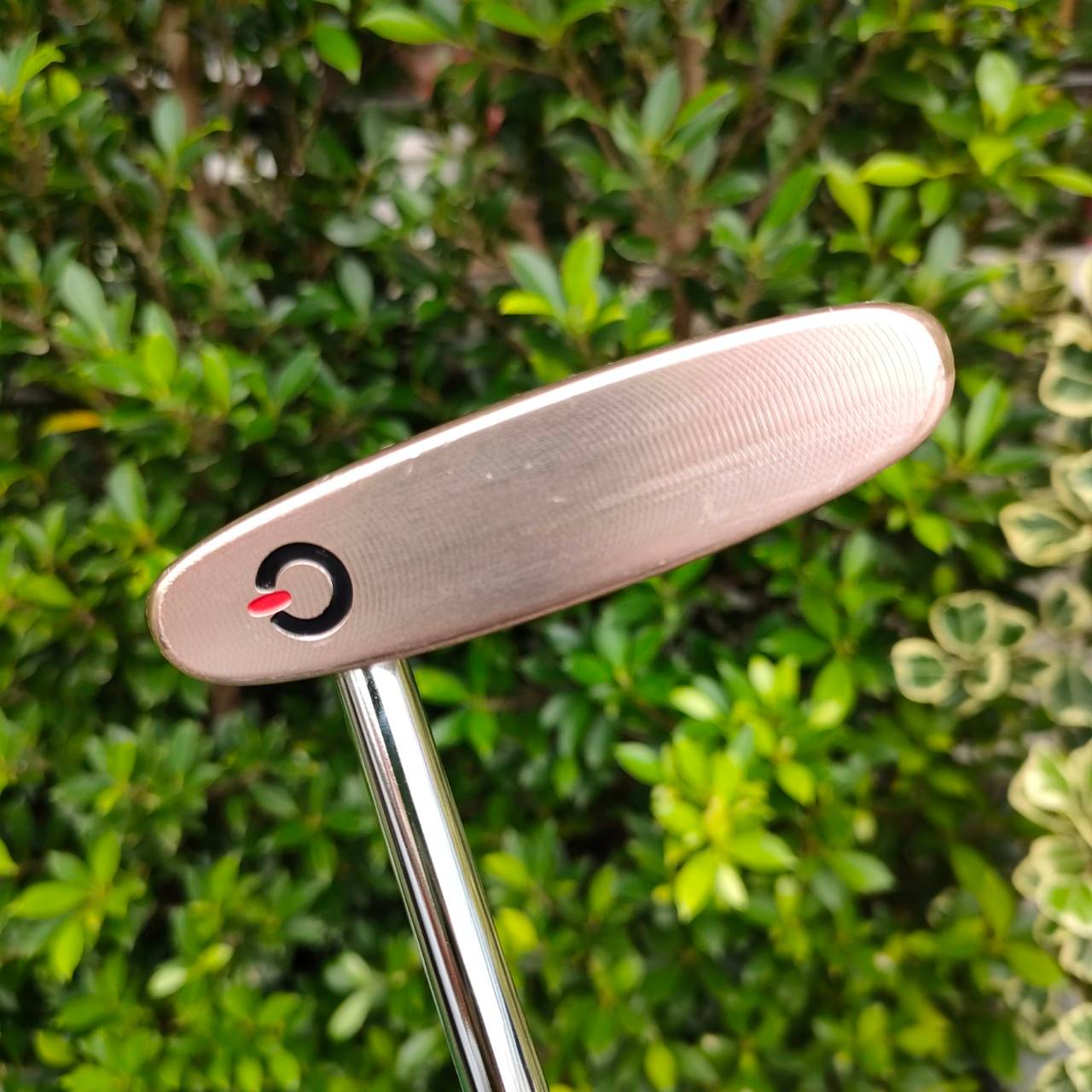 PUTTER GOLDWIN CRAZY JANE CNC MILLED MALLET ความยาว 34 นิ้ว สุดยอดแห่งหน้าไม้ทำให้ลูกเกาะไลน์มากๆ