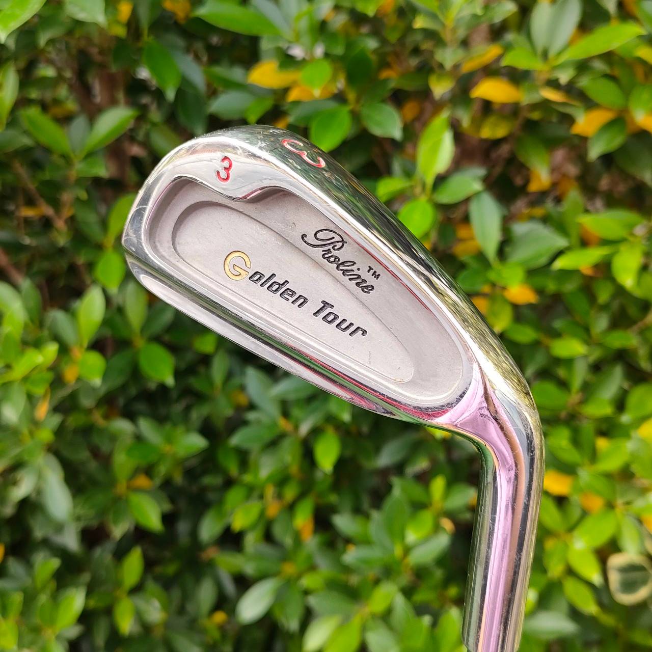 ชุดเหล็ก GOLDEN TOUR มีเหล็ก 3-9 PW SW ก้าน GOLDEN TOUR สภาพสวย เดิมๆครับ
