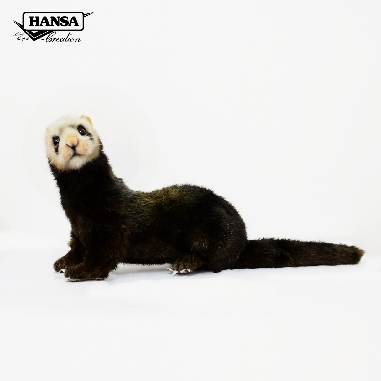 7827 European Polecat 41 cm. L