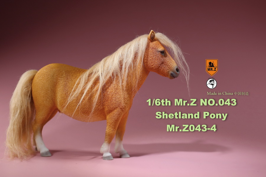 [สั่งจอง]น้องม้าน้อยโพนี่ 1/6 MR. Z Animal Model MRZ043 1/6th Shetland Pony(all 5 colors)