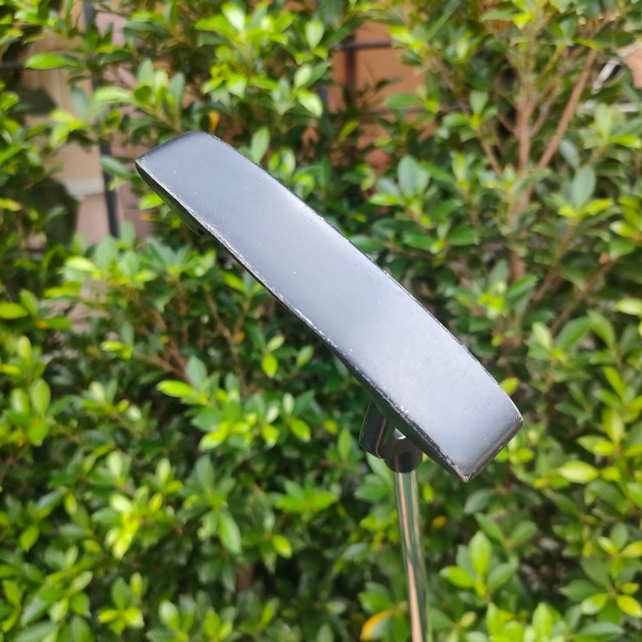 PUTTER TRI EYE ความยาวของไม้ 34 นิ้ว ทรงสแตนดาร์ด พัตต์ง่าย หน้ายาว แม้พัตต์ไม่ตรงกลาง แบบเป๊ะๆ แต่ลูกก็ยังหมุนตรงดี