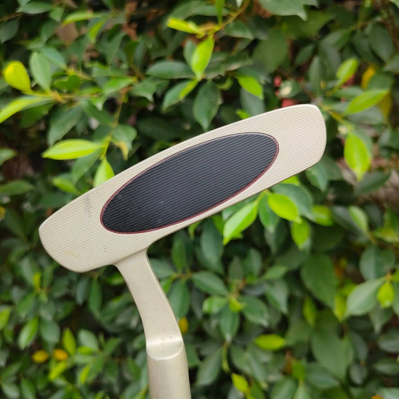 PUTTER WILSON DEEP RED ความยาว 34 นิ้ว ก้าน DEEP RED หน้าอินเสิร์ท และเส้น ทำให้เกาะไลน์มากๆ