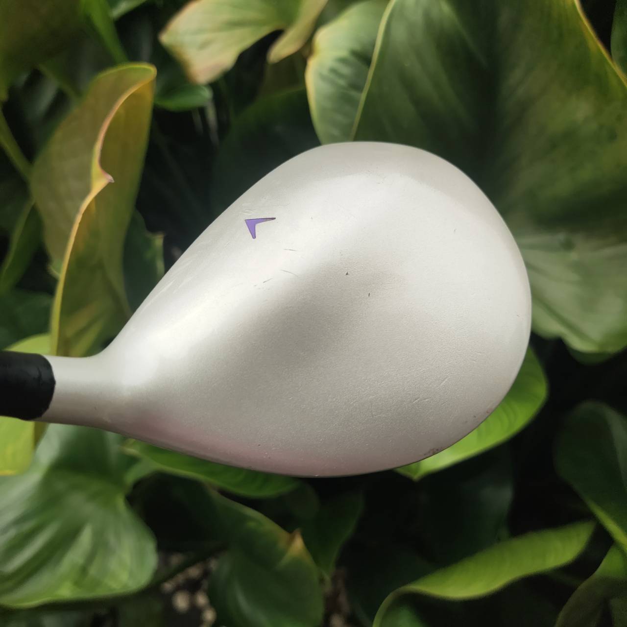 ไม้กอล์ฟครบชุดสำหรับผู้หญิง FULLSET SPALDING LADY มือสอง พร้อมสำหรับออกรอบได้เลย