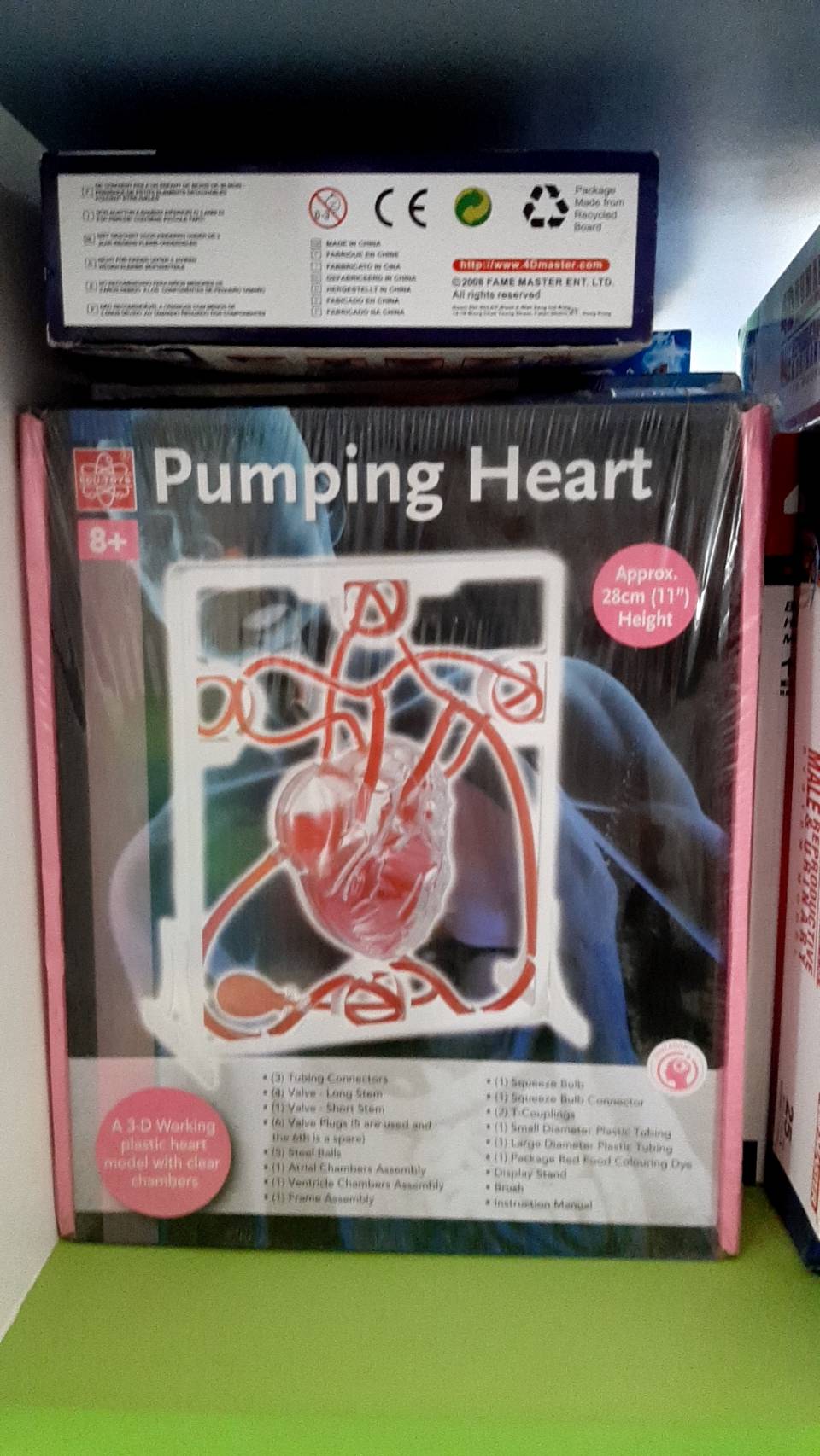 โมเดลหัวใจ จำลอง ระบบหัวใจ, Pumping Heart , ของเล่นเสริมพัฒนาการ, ของเล่น, สื่อการสอน