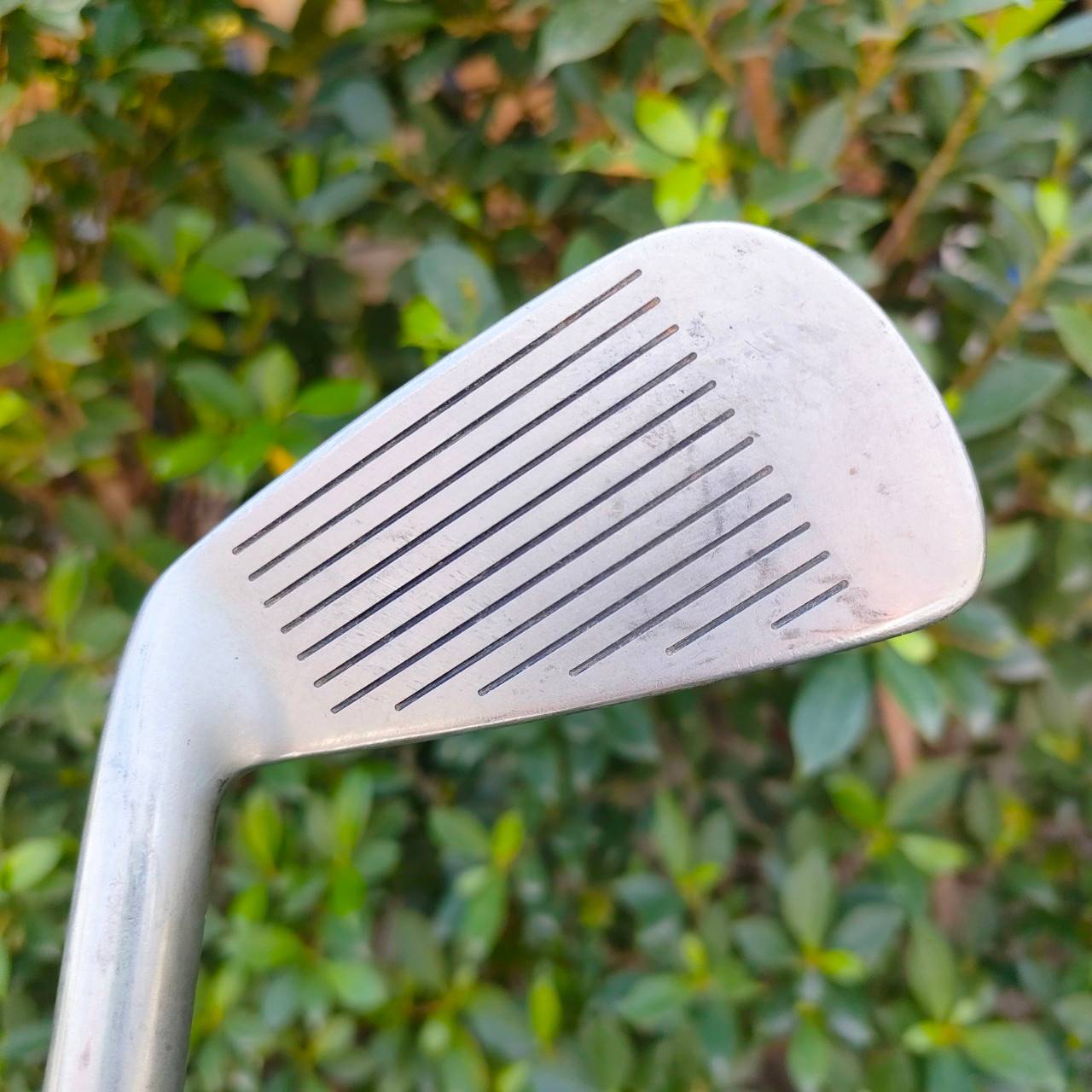 ชุดเหล็ก MIZUNO MSX มีเหล็ก 3-9 เเละ PW ก้าน EXSAR II