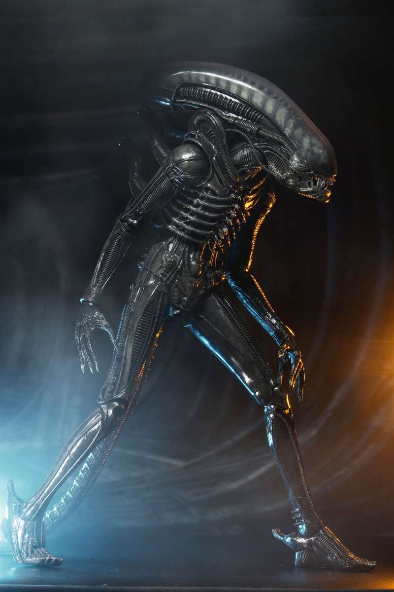 [สั่งจอง] Neca : Alien [Reissue]