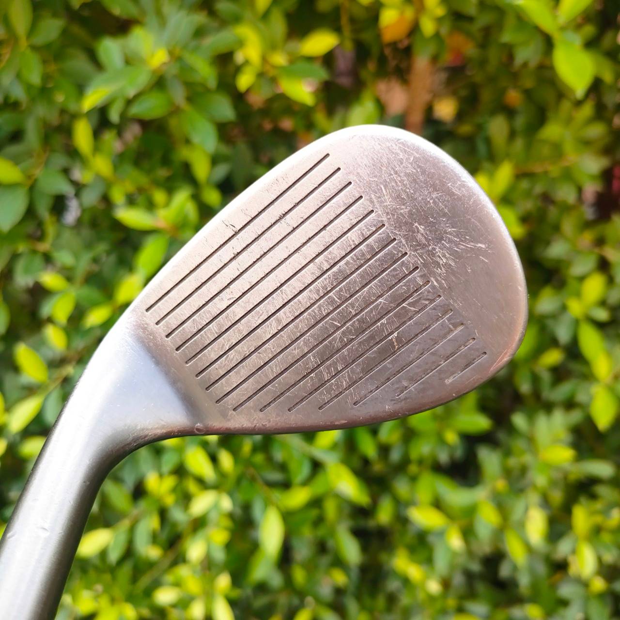 WEDGE CLEVELAND CG10 องศา 52 ก้าน DYNAMIC GOLD FLEX WEDGE สองจุดเป็น STANDARD BOUNCE เป็นองศาที่ขาดในชุดต้องซื้อเพิ่มทุกชุด ร่องอย่างคม อย่างโหด ไม้กอล์ฟมือสอง ของแท้ BY NakaraLuxurious