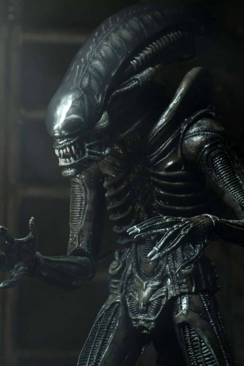 [สั่งจอง]Neca : Ultimate Alien Big Chap 40th Annniversary(9นิ้ว)