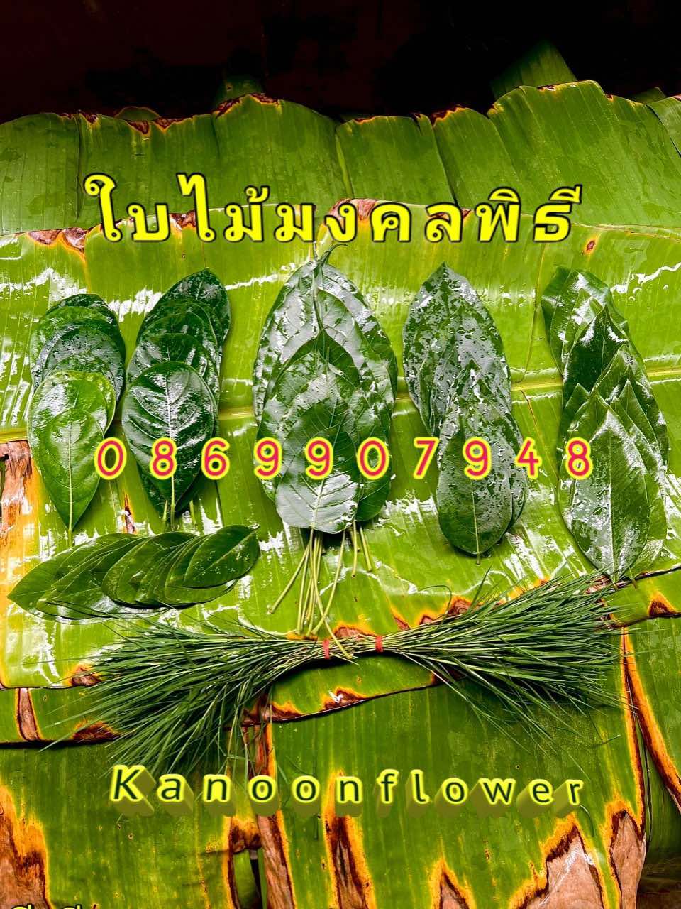 ชุดใบไม้มงคล9ชนิด