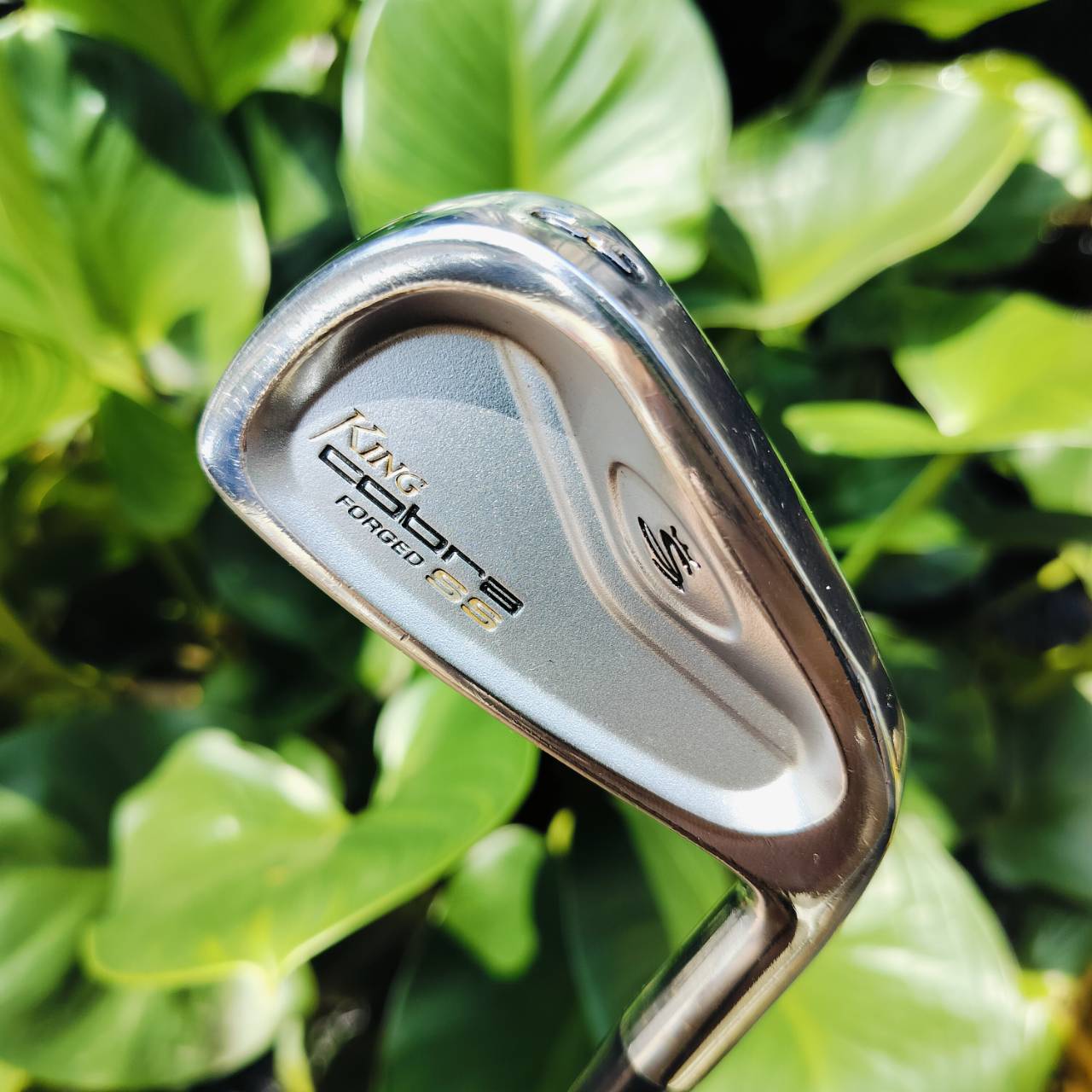 เหล็ก 3 KING COBRA FORGED SS ก้าน DYNAMIC GOLD S300 เนื้อเหล็ก FORGED นุ่มจัด พรีเมี่ยม ไม้กอล์ฟพรีเมี่ยมมือสอง ของแท้ By NakaraLuxurious