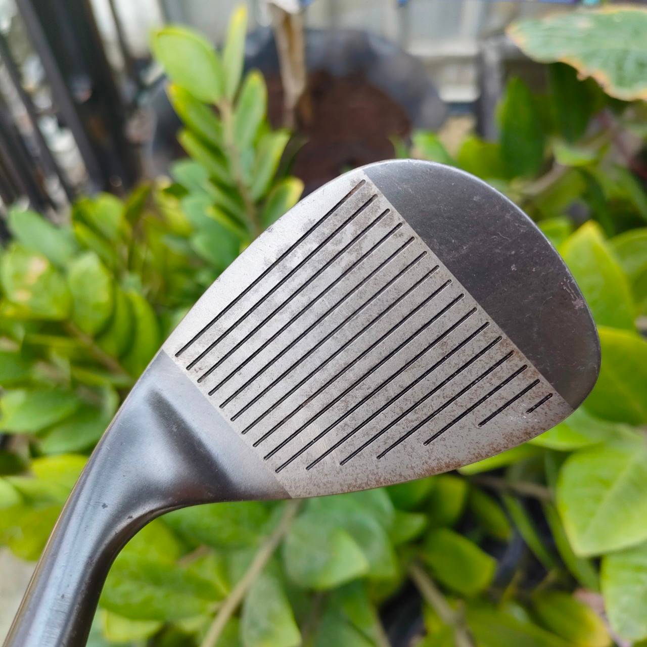 WEDGE PROKENNEX CARBON ACE องศา 56 FLEX WEDGE ชิพแม่นๆ หน้ายิงทรายอย่างดี สปินดี สภาพเดิม ไม้กอล์ฟพรีเมี่ยมมือสอง By NakaraLuxurious