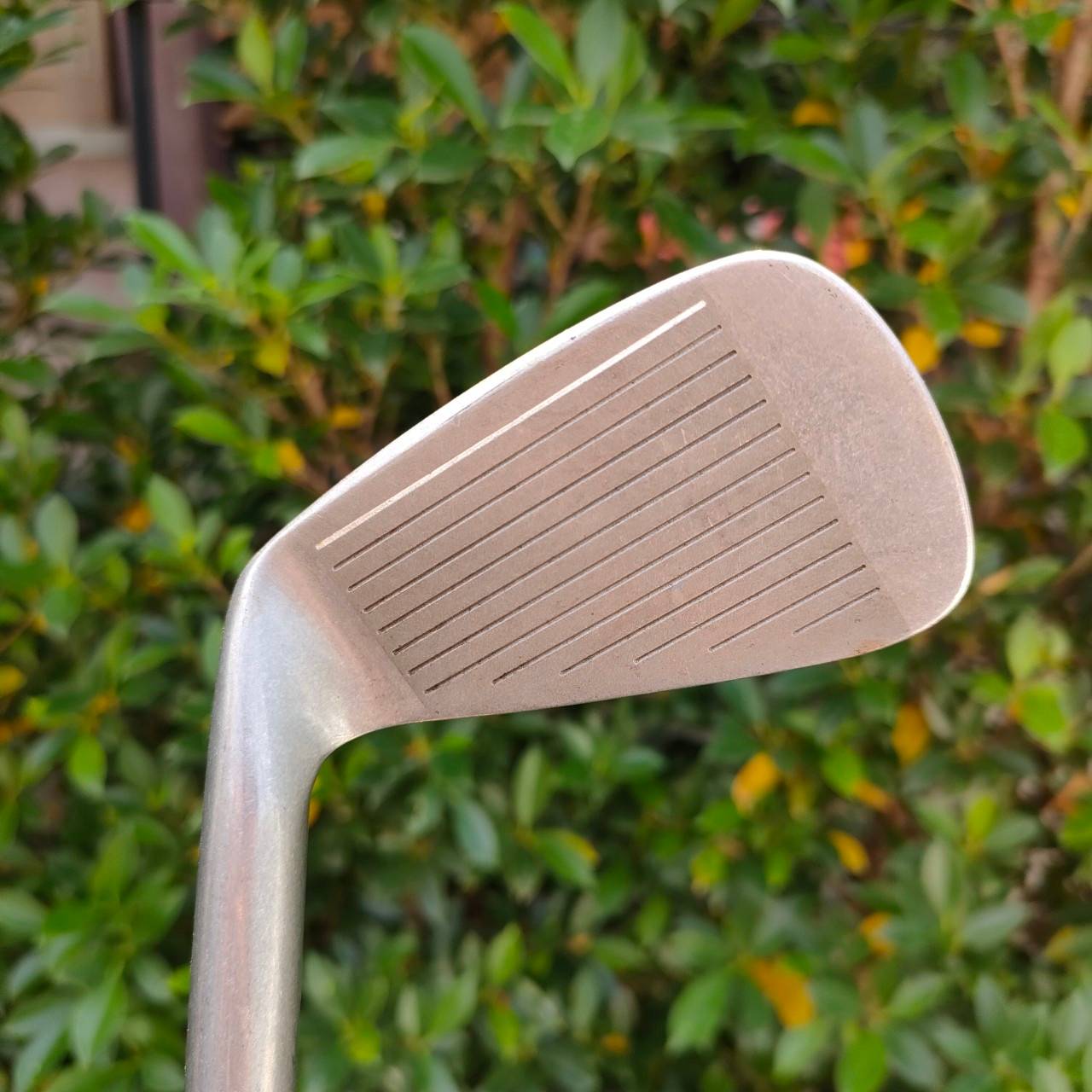 ชุดเหล็ก PRGR CT-511 มีเหล็ก 3 - 9 PW ก้าน M40 EV-670 FLEX S ชุดเหล็กพรีเมี่ยมจากญี่ปุ่น น้ำหนักเบา เหมาะกับคนเอเชีย PRGR ราคานี้พลาดไม่ได้