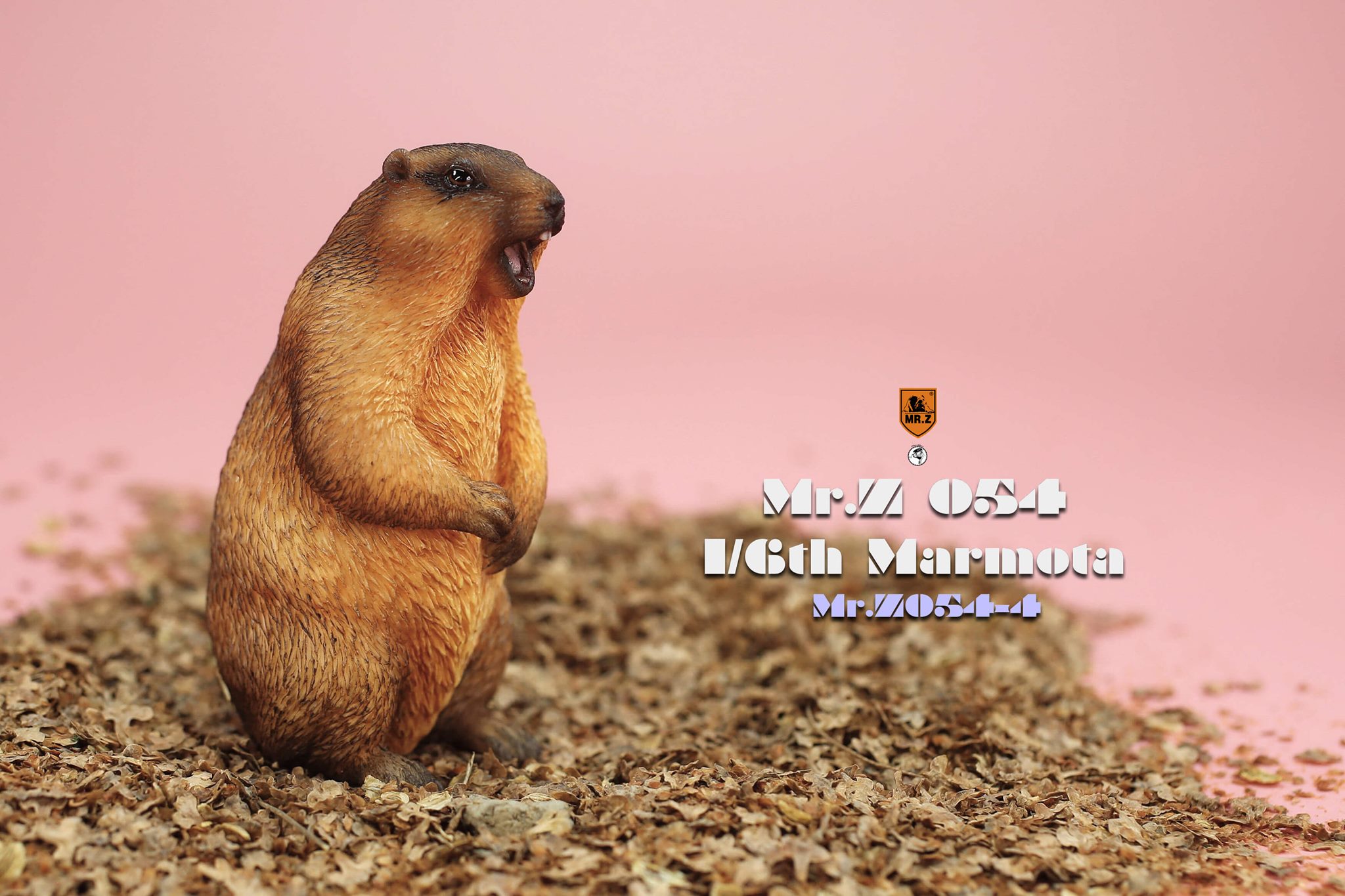 [สั่งจอง]Mr.Z MRZ054 1/6 : Animal Model - Marmota