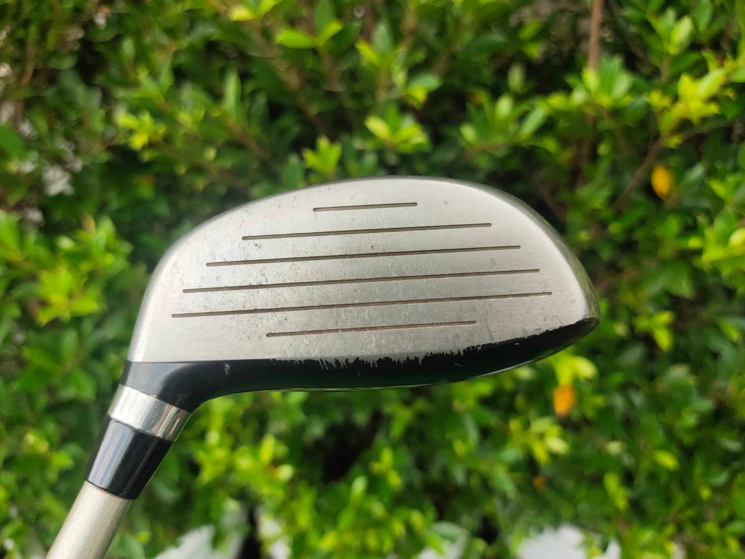 FW5 TSURUYA GOLDREN PRIX V7 องศา 19