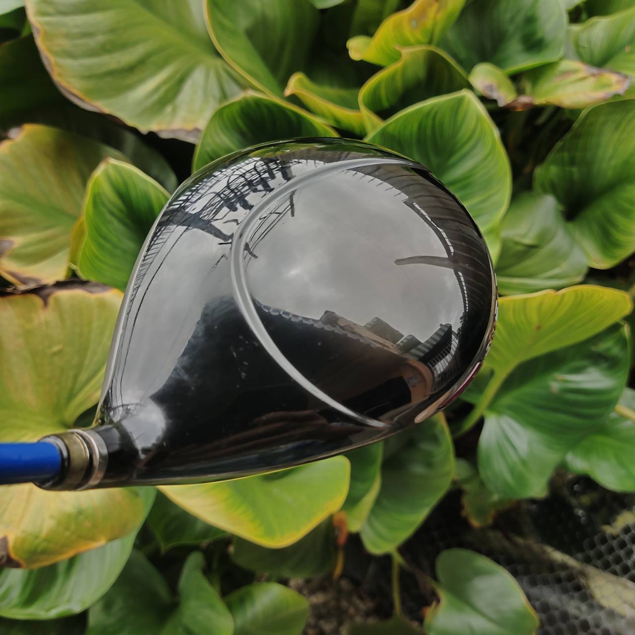 Driver PRGR GN 502 TOUR ให้ฟีลลิ่งแน่น หน้าตอบสนองไว ระยะไกลแบบมีคลาส!