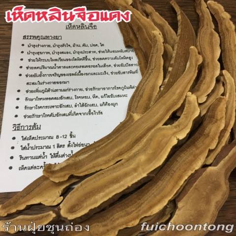 เห็ดหลินจือแดง 