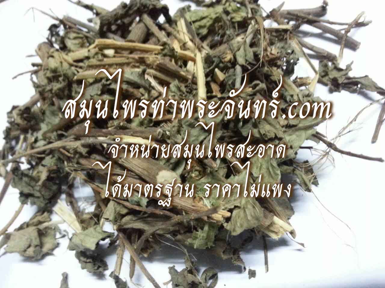 เหงือกปลาหมอแห้ง ( 500กรัม - 1กิโล ) / ( 500g - 1kg ) สมุนไพรท่าพระจันทร์